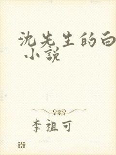沈先生的白月光 小说