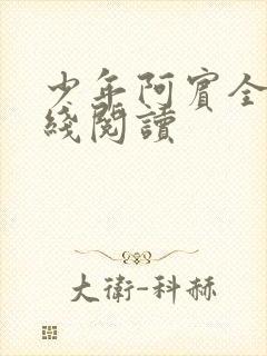 少年阿宾全书在线阅读