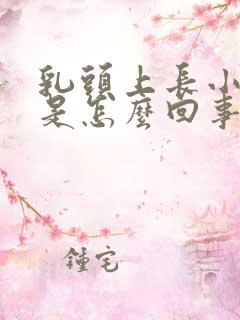 乳头上长小疙瘩是怎么回事