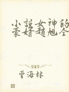 小说女神的上门豪婿赵旭全文阅读