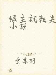 绿主调教夫妻奴小说