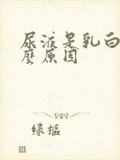 尿液是乳白色什么原因