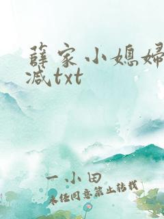 薛家小媳妇无删减txt