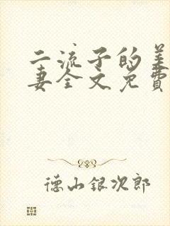 二流子的美貌娇妻全文免费阅读