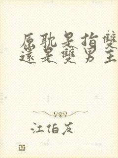 原耽是指双男主还是双男主