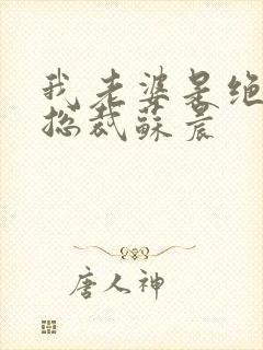 我老婆是绝世女总裁苏晨