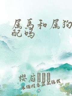 属马和属狗的相配吗