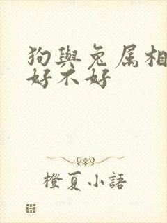 狗与兔属相婚配好不好