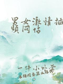 男女激情插入视频网站