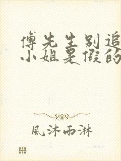 傅先生别追了大小姐是假的