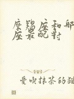 摩羯座和哪个星座最配对