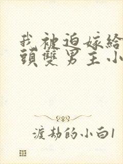 我被迫嫁给死对头双男主小说