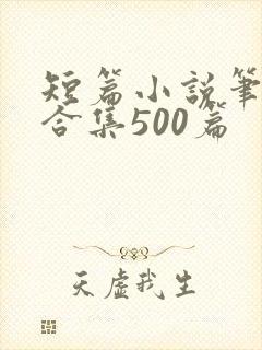 短篇小说笔趣阁合集500篇