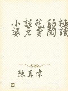 小说我的极品老婆免费阅读