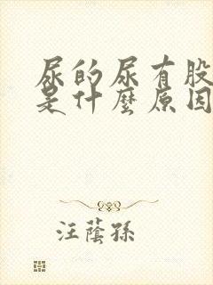 尿的尿有股臭味是什么原因