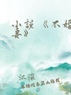 小说 《不婚夫妻》
