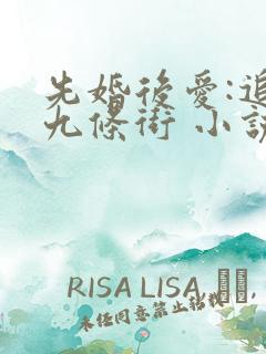 先婚后爱:追妻九条街 小说完整免费