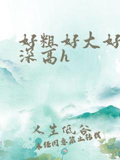 好粗好大好湿好深高h