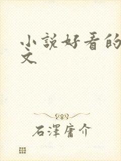 小说好看的甜宠文