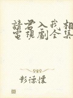 请君入我相思局电视剧全集