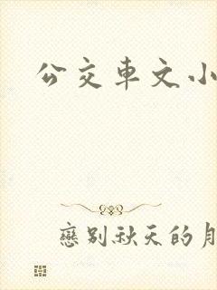 公交车文小说
