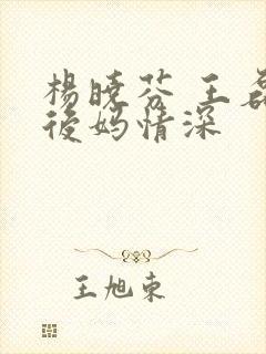 杨晓芬 王磊 后妈情深