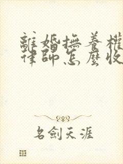 离婚抚养权诉讼律师怎么收费