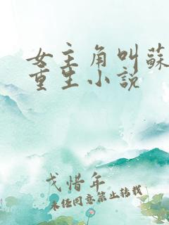 女主角叫苏离的重生小说