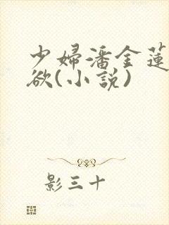 少妇潘金莲性肉欲(小说)