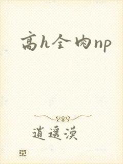 高h全肉np