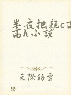 半夜把亲c高潮高h小说