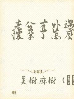 老公有外遇小三怀孕了怎么办