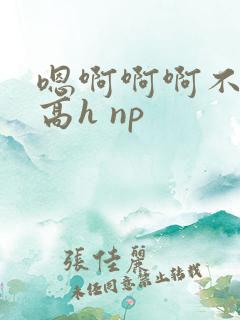 嗯啊啊啊不要啊高h np