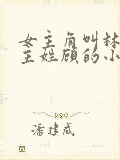 女主角叫林微男主姓顾的小说