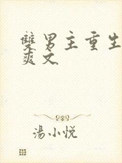 双男主重生复仇爽文