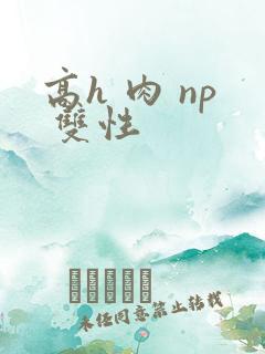 高h 肉 np 双性
