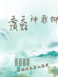 吞天神鼎柳无邪顶点