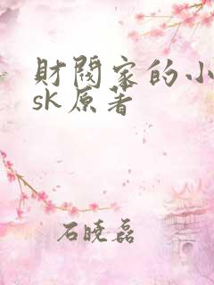 财阀家的小儿子sk原著