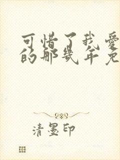 可惜了我爱着你的那几年免费阅读