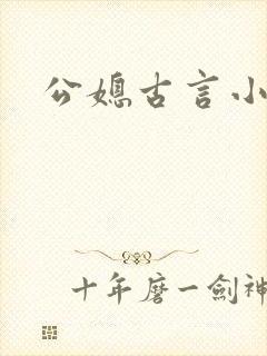 公媳古言小说