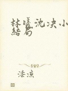 林曦沈决小说大结局