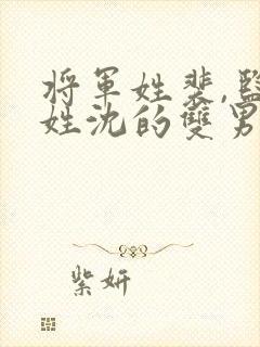 将军姓裴,监军姓沈的双男主小说