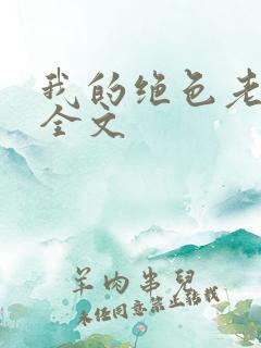 我的绝色老板娘全文