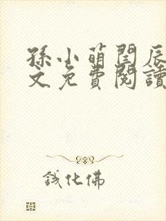 孙小萌闫辰的全文免费阅读