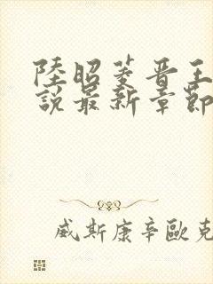 陆昭菱晋王的小说最新章节