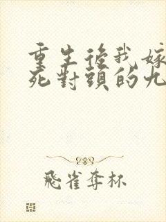 重生后我嫁给了死对头的九叔免费阅读21章