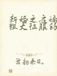 新婚之夜娇妻被粗大征服的结局