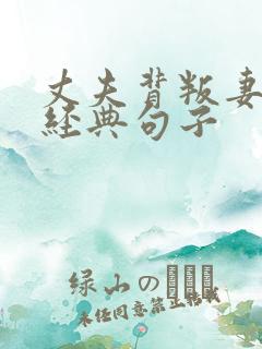 丈夫背叛妻子的经典句子