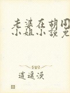 老婆在胡同里扮小姐小说免费阅读