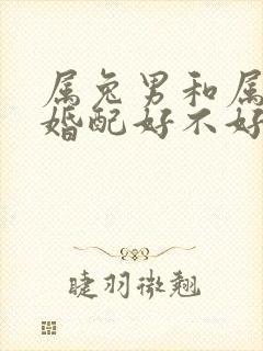 属兔男和属狗女婚配好不好